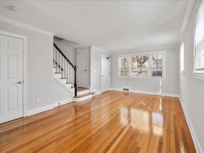 Gallery Photo 45